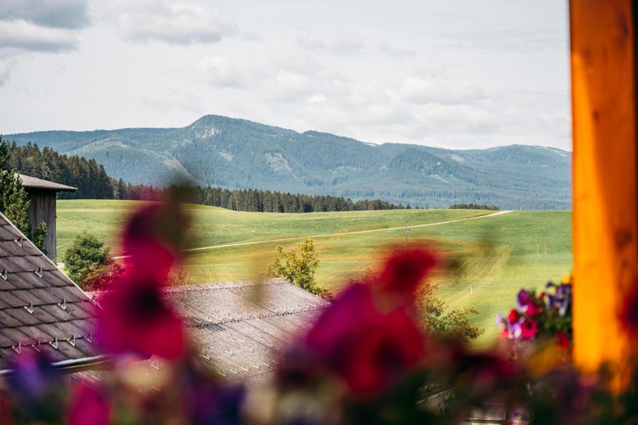 Wander- Und Wellnesshotel Kanzler Bad Mitterndorf Exteriör bild